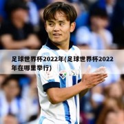 足球世界杯2022年(足球世界杯2022年在哪里举行)