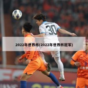 2022年世界杯(2022年世界杯冠军)