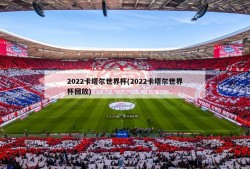 2022卡塔尔世界杯(2022卡塔尔世界杯回放)